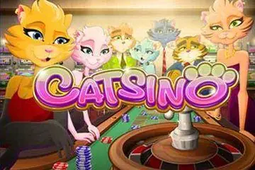 Catsino Online Casino Game
