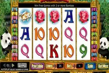 Double Panda Online Casino Game