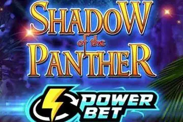 Shadow of the Panther Power Bet Online Casino Game