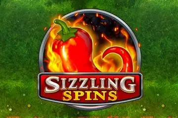 Sizzling Spins Online Casino Game