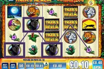 Tiger's Realm Online Casino Game