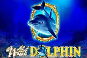 Wild Dolphin Online Casino Game