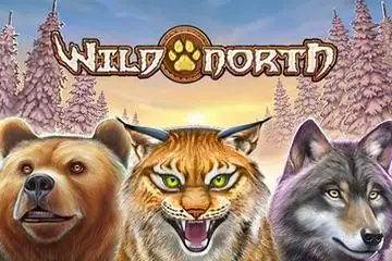 Wild North Online Casino Game